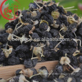 Organic Black Goji Berry with high anthocyanidin